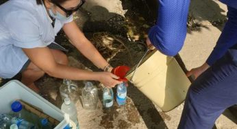 Родники не соответствуют качеством воды
