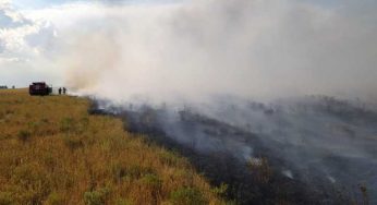 За последние две недели в Костанайской области зарегистрировано 9 лесных пожаров