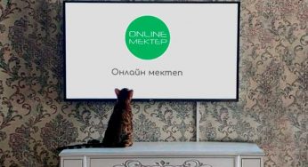 Как будут учиться дети с 1 сентября?