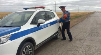 Полицейский помог пенсионерам, оставшимся на трассе в Костанайской области