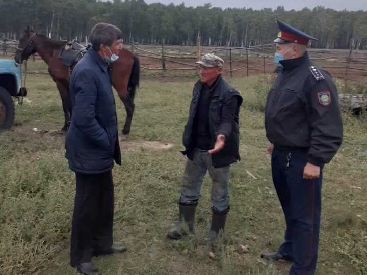 Более 130 жителей Костанайской области привлекли к ответственности за нарушения правил выпаса скота