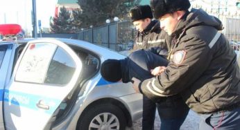 Полиция Костанайской области за два дня раскрыла 23 кражи
