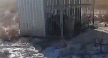 В полиции прокомментировали видео о брошенных собаках
