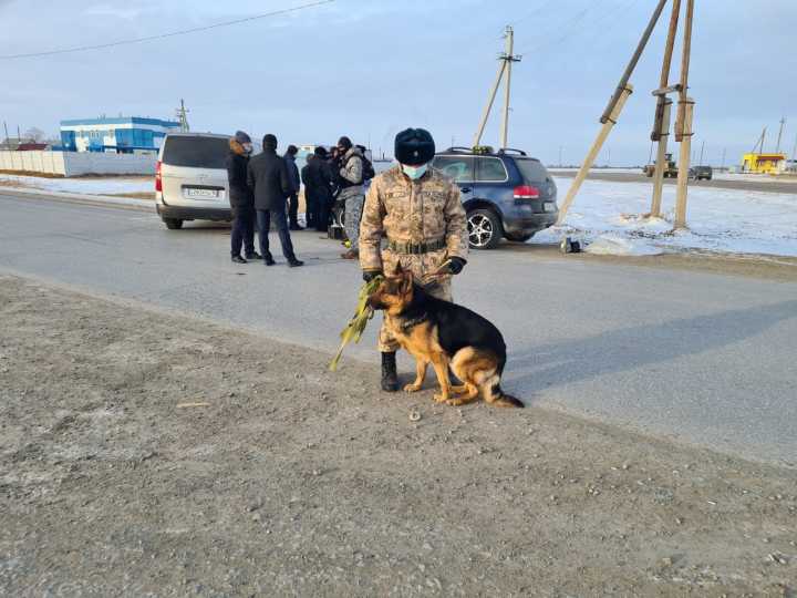 В городе Житикара полицейские изъяли крупную партию наркотиков
