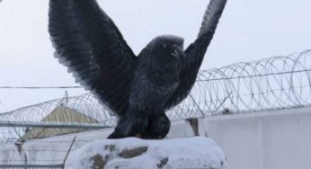 Чтобы «хорошо» сидеть в колонии, осужденные платили от 100 тысяч до миллиона тенге