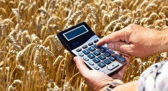 Казахстанским сельхозпроизводителям выдадут микрокредиты на сумму 250 млрд тенге