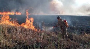 В Костанайской области вспыхнули природные пожары