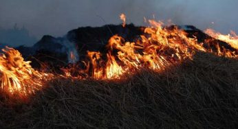 Штормовое предупреждение: высокая пожароопасность ожидается в Костанайской области