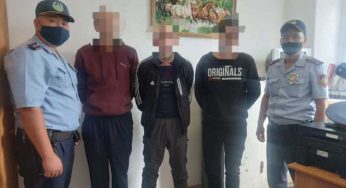 Двойной угон в Аркалыке: преступления раскрыты