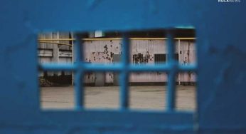 2 236 подсудимых получат амнистию в честь 30-летия независимости