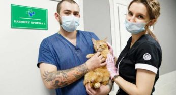У костанайцев, желающих получить грант на открытие бизнеса, будут проверять кредитную историю