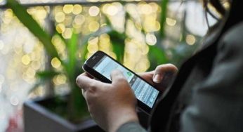 Популярные способы интернет-мошенничества перечислили в МВД
