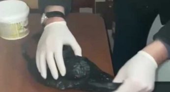 В Костанае задержан «закладчик» синтетических наркотиков
