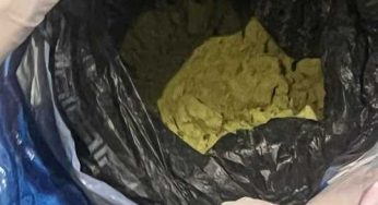 Четыре килограмма гашиша изъято в Костанайской области