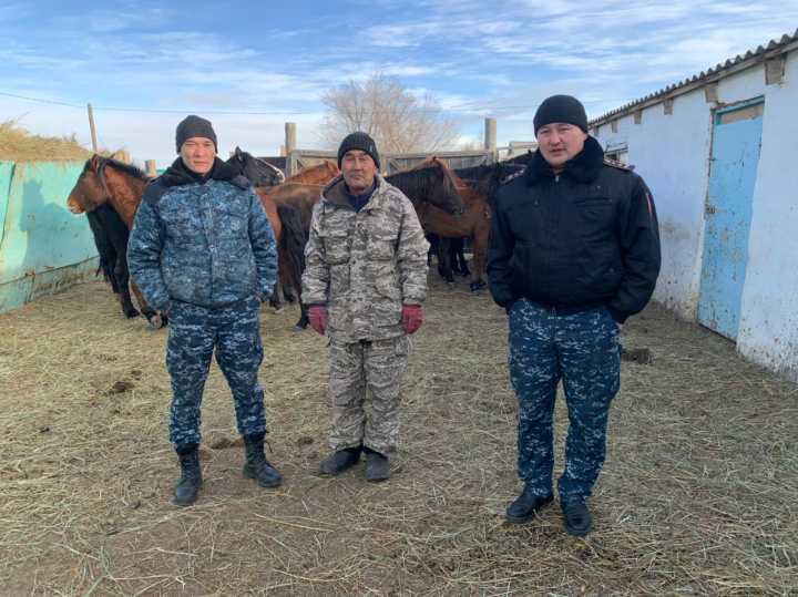 За два дня сотрудниками полиции в Костанайской области возвращено владельцам 30 голов скота