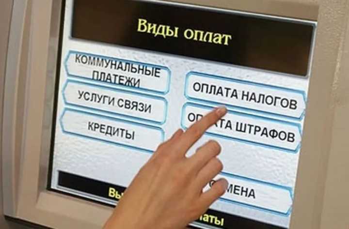 В Палате предпринимателей вы можете бесплатно получить услуги по открытию и ведению бизнеса